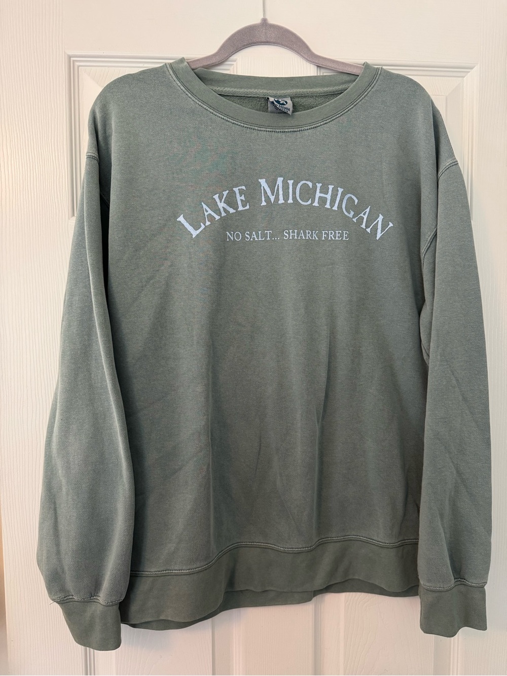Lake Michigan Men's Green Graphic Crewneck Sweatshirt sz L